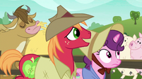 Big Mac and Sugar Belle walk past cow and pigs S7E8