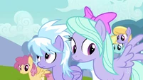 Flitter and Cloud Chaser don't understand Twilight's explanation