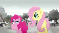 Fluttershy asking "more?" MLPRR