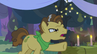 Grand Pear "what are you two doing?" S7E13