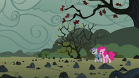 Pinkie and Maud reach the rock farm S4E18
