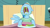 Rainbow Dash eating messily S2E16