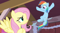 Rainbow Dash not coming back S2E14