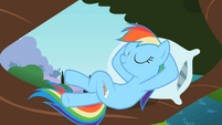 Rainbow Dash taking nap on tree branch S2E07
