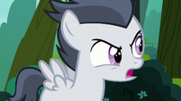 Rumble "because cutie marks are silly" S7E21