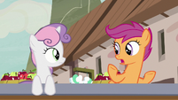 Scootaloo "I don't know anypony here" S7E8