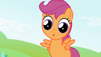 Scootaloo wide eyed.