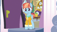 Windy Whistles appears before Scootaloo S7E7