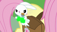 Angel hops out of Fluttershy's saddlebag S9E18