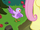 Bird tweeting to Fluttershy for help S8E13.png