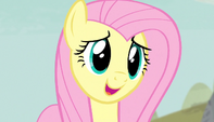 Fluttershy -maybe they miss them a little- S5E1