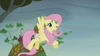 Fluttershy telling a story S5E23