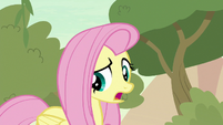 Fluttershy trying to explain S8E23