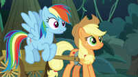 Rainbow and Applejack hear fake Rarity S8E13