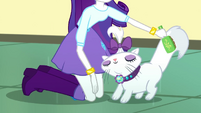 Rarity brushing Opalescence's tail SS7