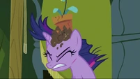 Twilight with flowerpot on her head S2E20