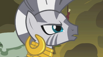 Zecora angered by the accusations S1E09