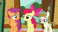 Apple Bloom and Scootaloo nod in understanding S7E6