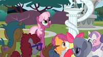 Cheerilee and class looking at Discord statue S2E01