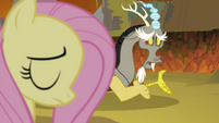 Discord apologizes to Fluttershy S4E26