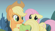 Fluttershy hiding behind Applejack S01E07