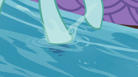 Ocellus stepping in the shallow stream S8E9