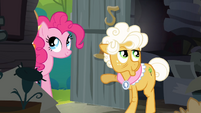 Pinkie Pie enters Goldie's house S4E09