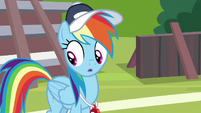 Rainbow Dash noticing something S9E15