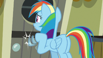 Rainbow Dash rapping on A. K. Yearling's door S7E18