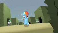 Rainbow Dash in action.