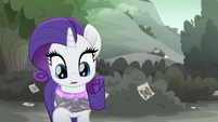 Rarity's kerchief regaining its color MLPRR