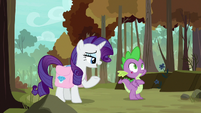 Rarity -maybe he moved out- S8E11