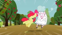 Apple Bloom bumps the sheep back into the herd.