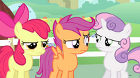 Cutie Mark Crusaders unfazed S4E05