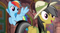 Daring Do --...has an Alicorn on it!-- S6E13