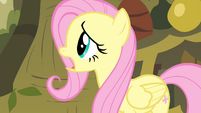 Fluttershy 'I'd do anything for the animals!' S4E14