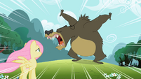 Fluttershy Bear Growl S2E3