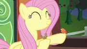 Fluttershy and a bird on the train S4E22