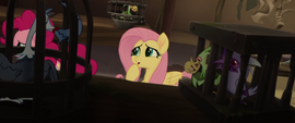 Fluttershy feeling sorry for caged animals MLPTM