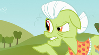 Granny Smith points hoof at Applejack S03E08