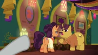 Rarity pointing at Coriander and Saffron S6E12