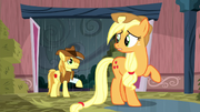 S05E06 Applejack pyta się Braeburna