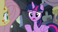 Twilight Sparkle "you were asleep so long" S7E20