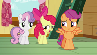 Apple Bloom "well, not exactly" S6E19