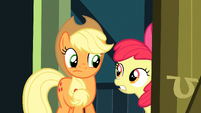 Come on Applejack, we gotta hurry!