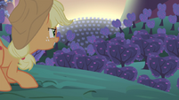 Applejack agachada