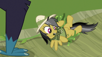 Daring Do frees herself from the vines S9E21