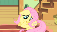 Fluttershy --maybe I shouldn't go-- S01E22