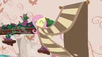 Fluttershy pulls decorative rug off the wall S7E12