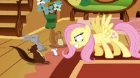 Fluttershy scaring animals S2E19